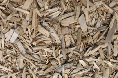 biomass boilers Leece