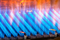Leece gas fired boilers